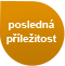 Otidea vzdělávání forma kurzu
